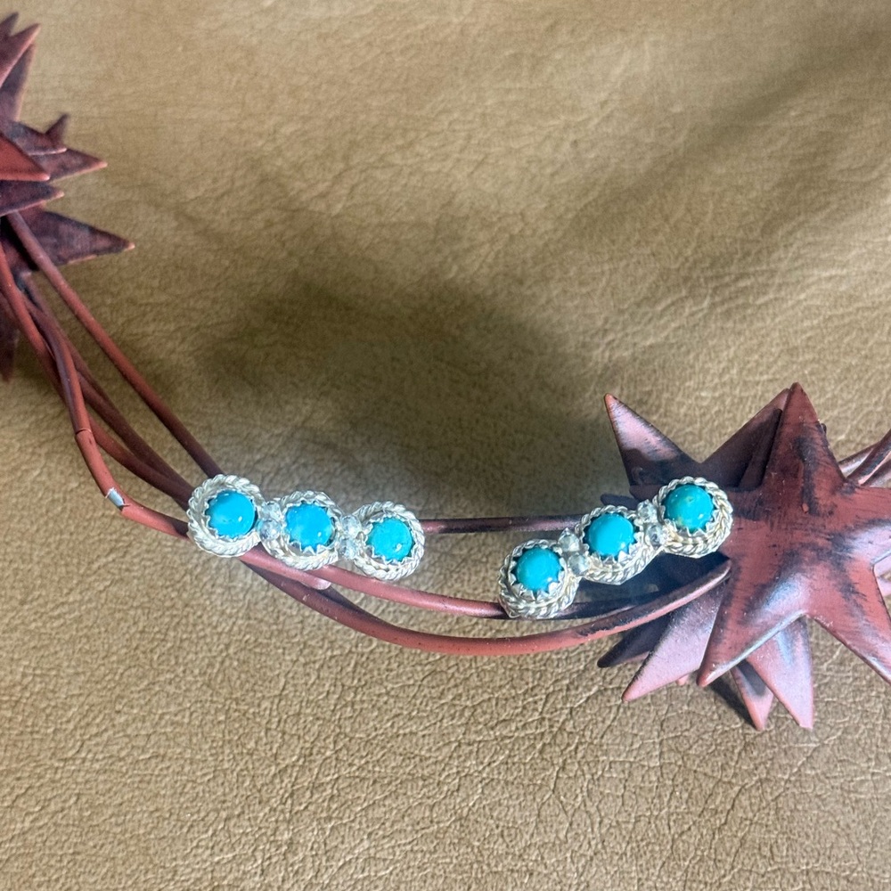 Kingman Turquoise and Sterling Silver Triple Stone Earrings
Post Back - Picture 2 of 4